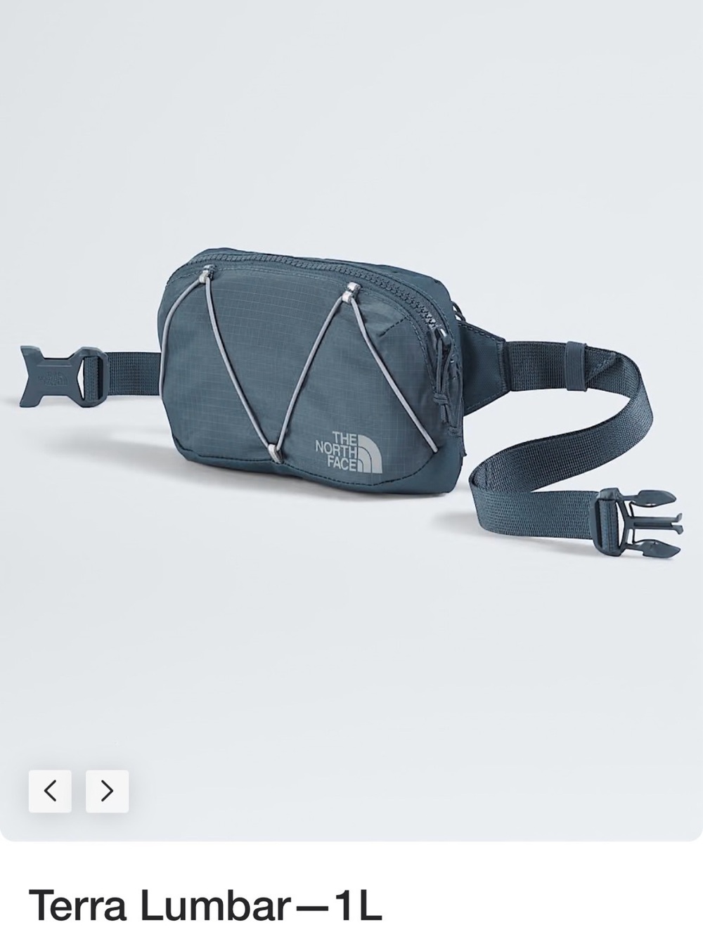 north face fanny pack